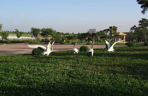 浅谈汉族在沈阳墓地下葬择日的殡葬习俗